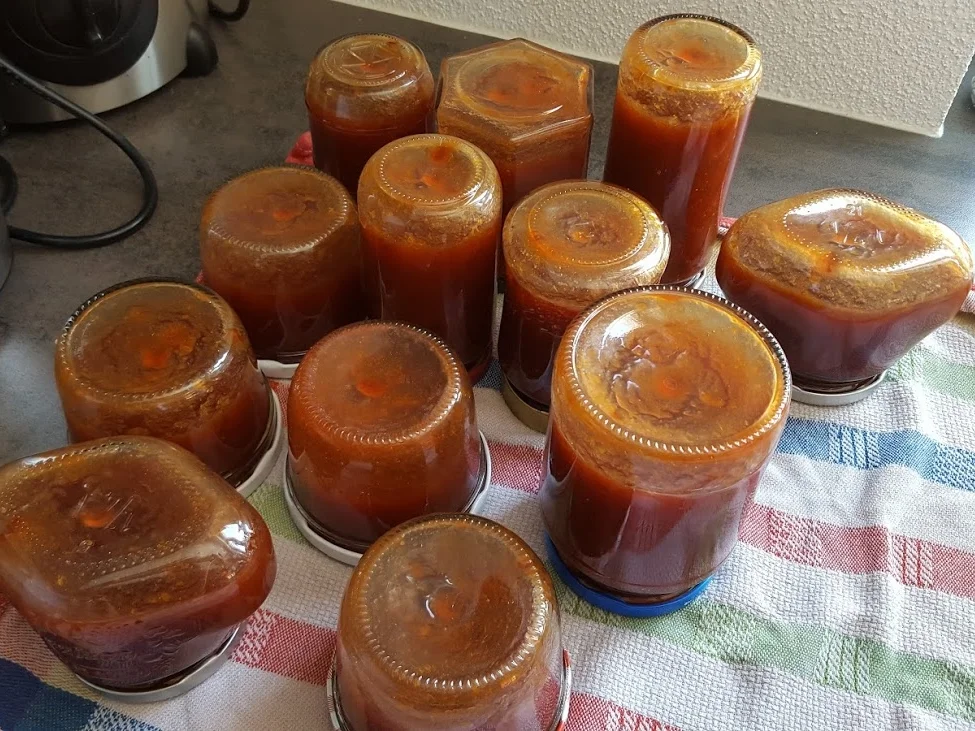 Pflaumen-Aprikosen-Apfel-Traum - Rezept - Bild Nr. 85