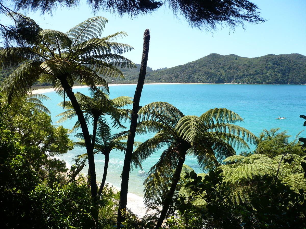 New Zealand Roasted KumaraPumpkinSpecial Rezept kochbar.de