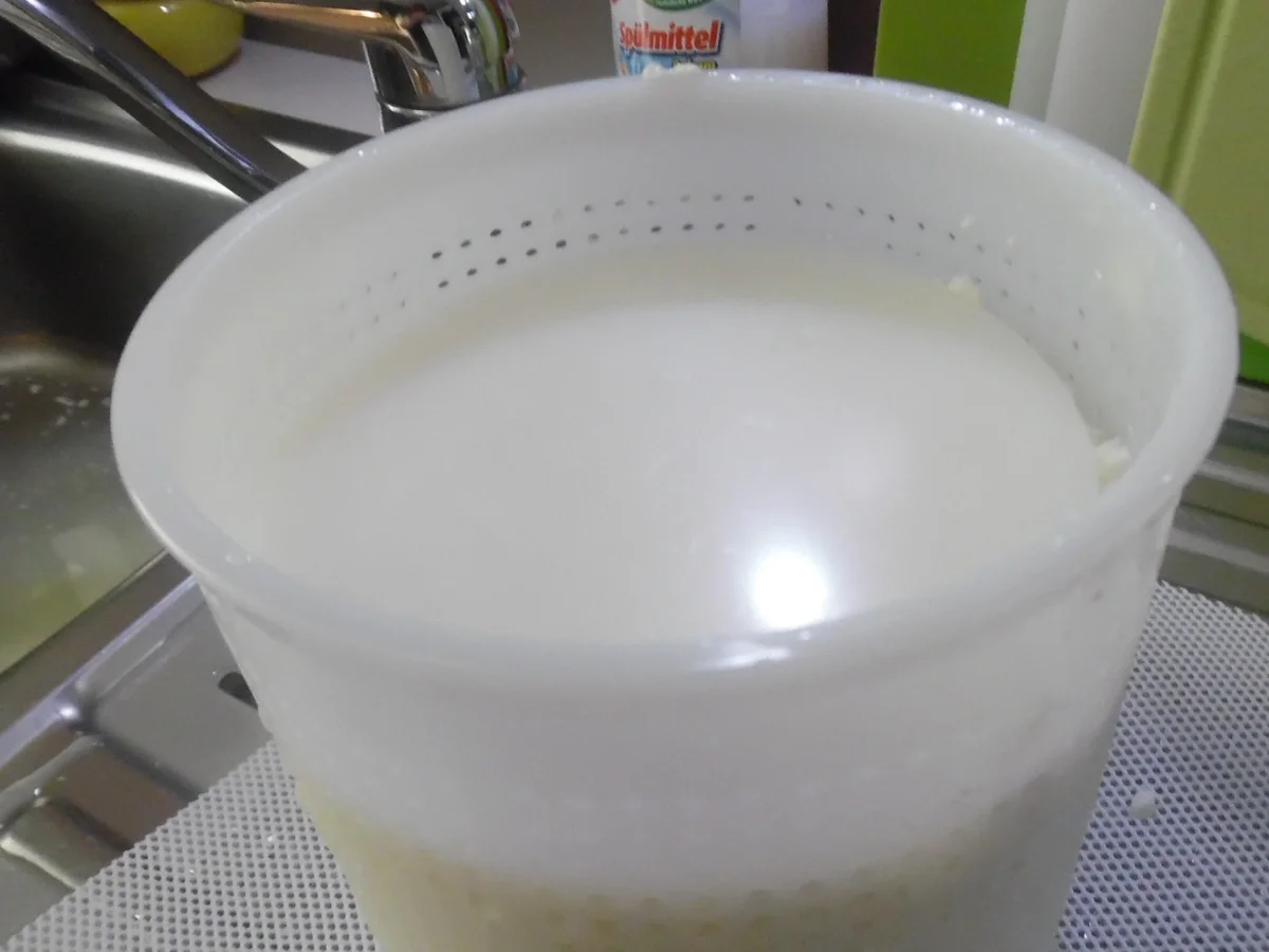 Feta-Käse selber machen - Rezept - Bild Nr. 102