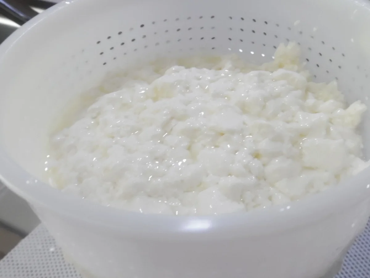 Feta-Käse selber machen - Rezept - Bild Nr. 103