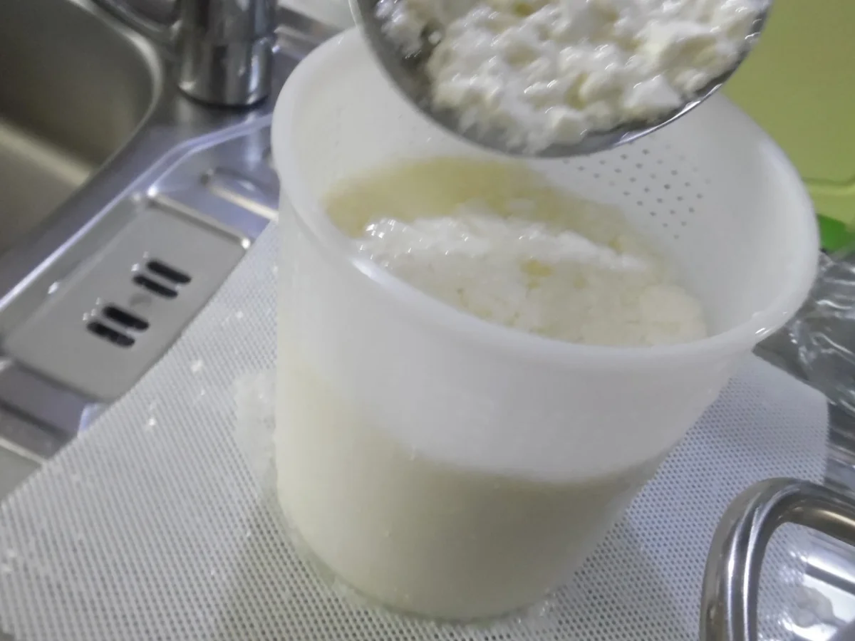 Feta-Käse selber machen - Rezept - Bild Nr. 104