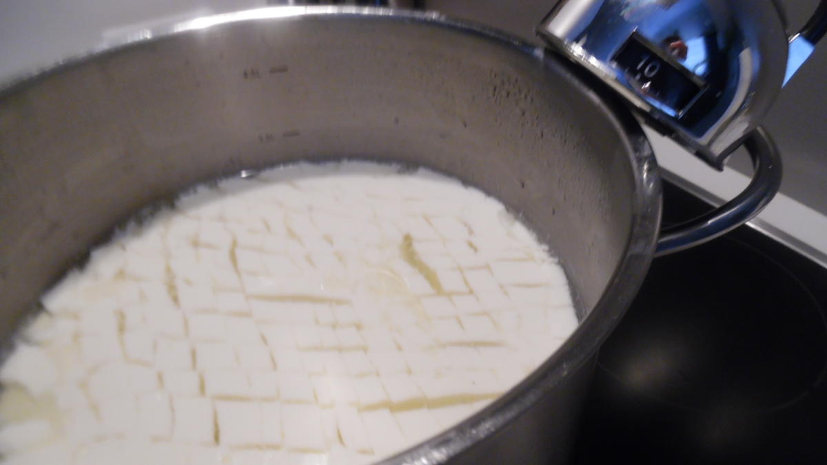Feta-Käse selber machen - Rezept - Bild Nr. 106