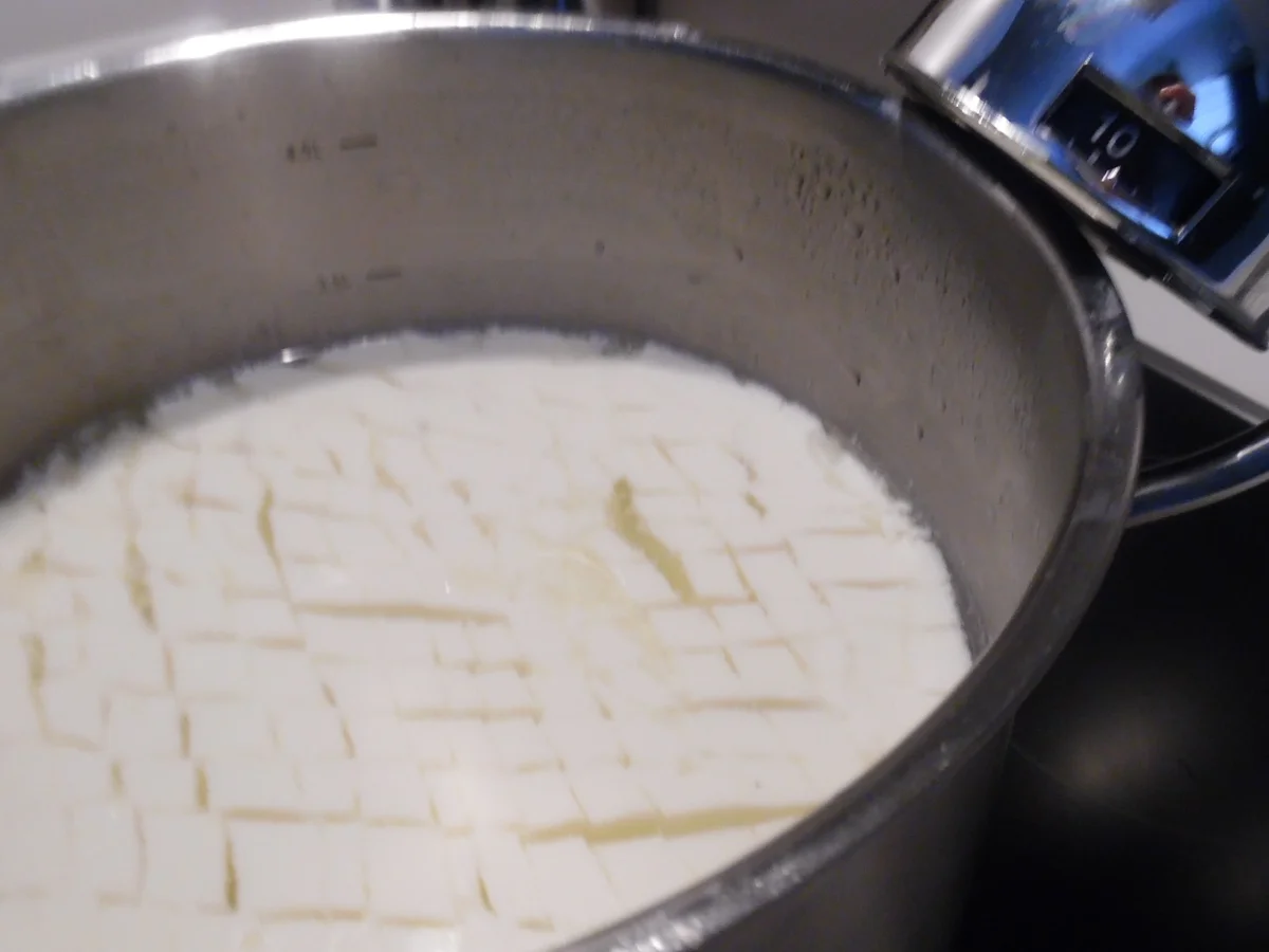 Feta-Käse selber machen - Rezept - Bild Nr. 106