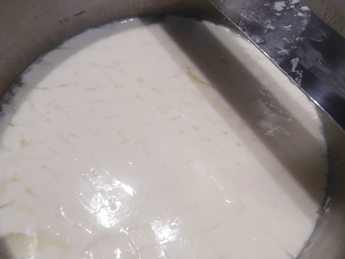 Feta-Käse selber machen - Rezept - Bild Nr. 107
