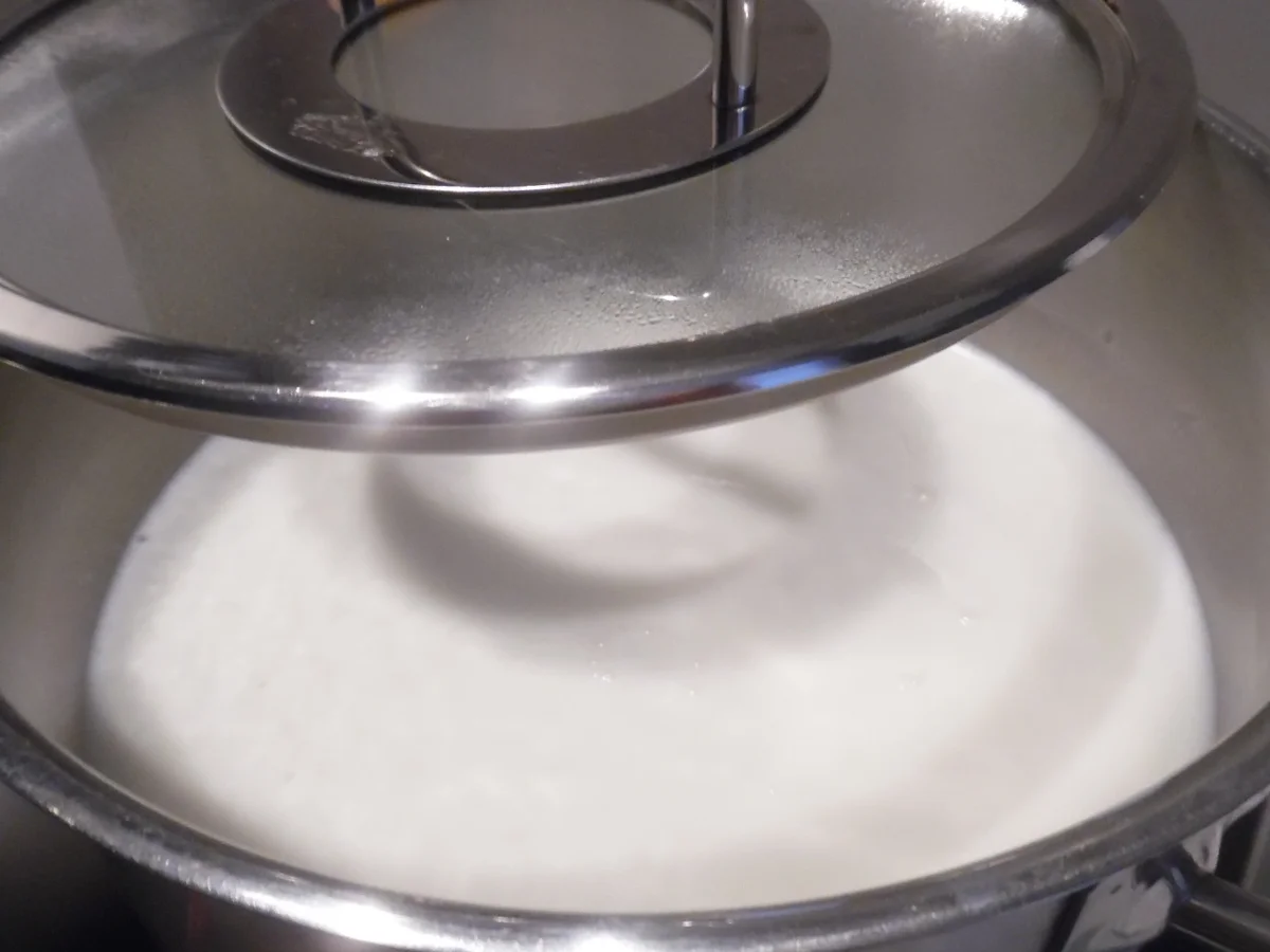 Feta-Käse selber machen - Rezept - Bild Nr. 108