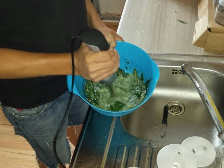 Rezept: Hanf-Pesto Bild Nr. 100 Hanf-Pesto - Rezept - Bild Nr. 100