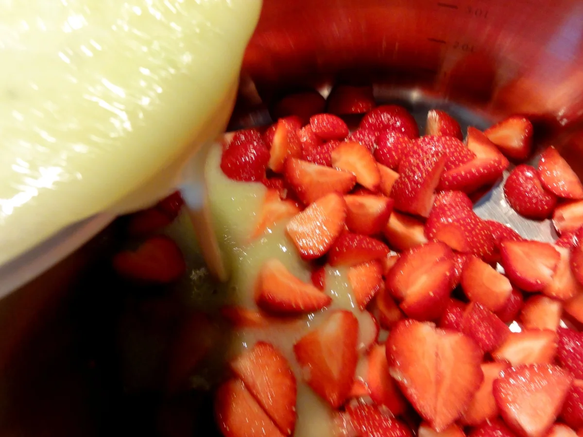 M+G:   ERBEER/STACHELBEER - Fruchtaufstrich - Rezept - Bild Nr. 123