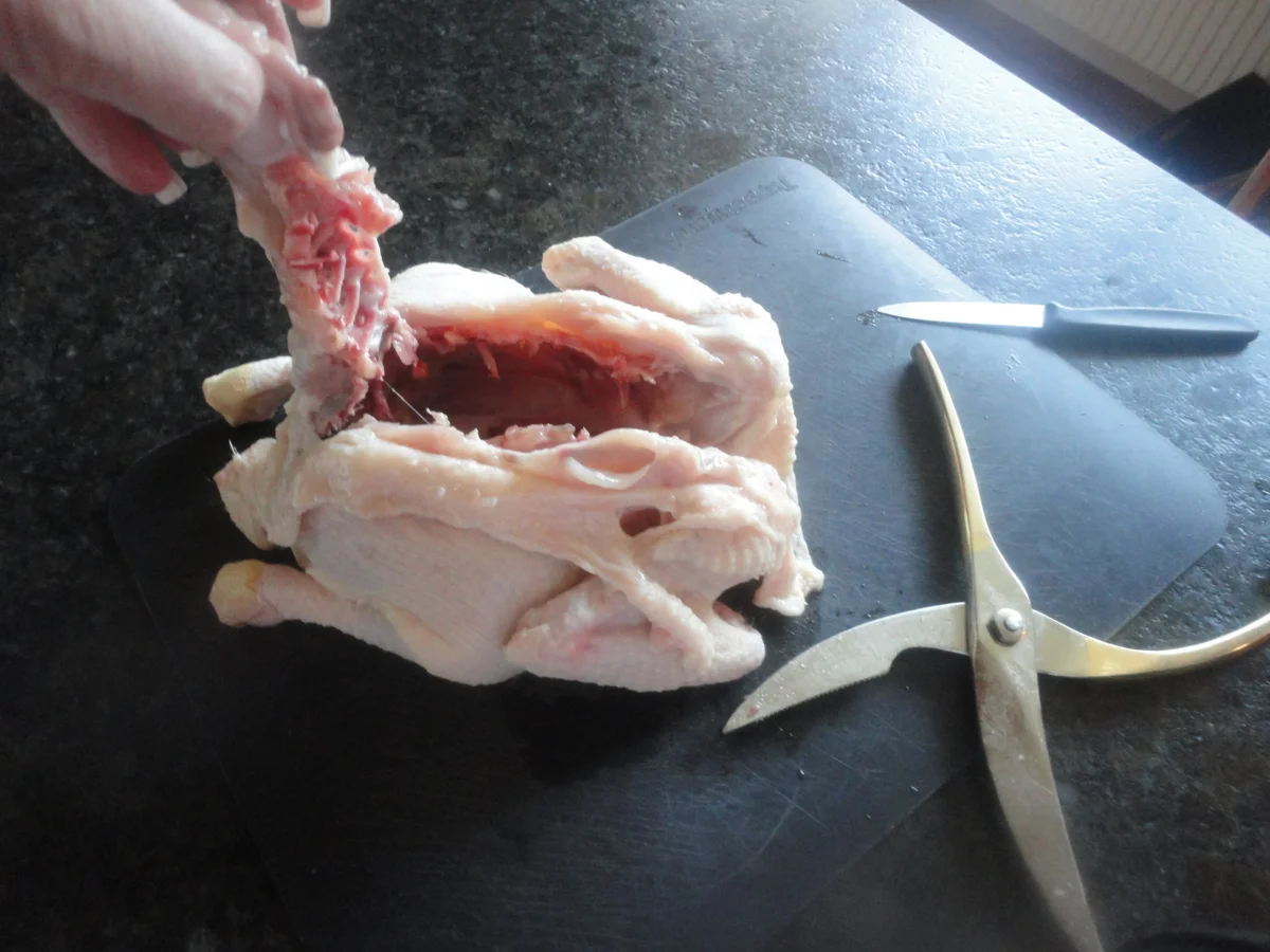 Rezept: Hühnchen in Joghurt Marinade Bild Nr. 181 Hühnchen in Joghurt Marinade - Rezept - Bild Nr. 181