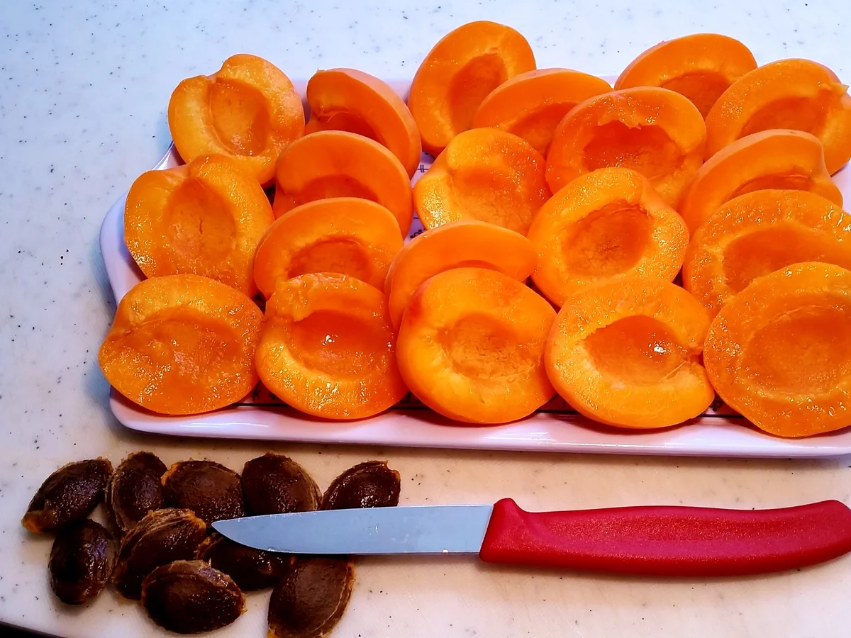 Aprikosen-Konfitüre mit Zwergorangen - Rezept - Bild Nr. 131