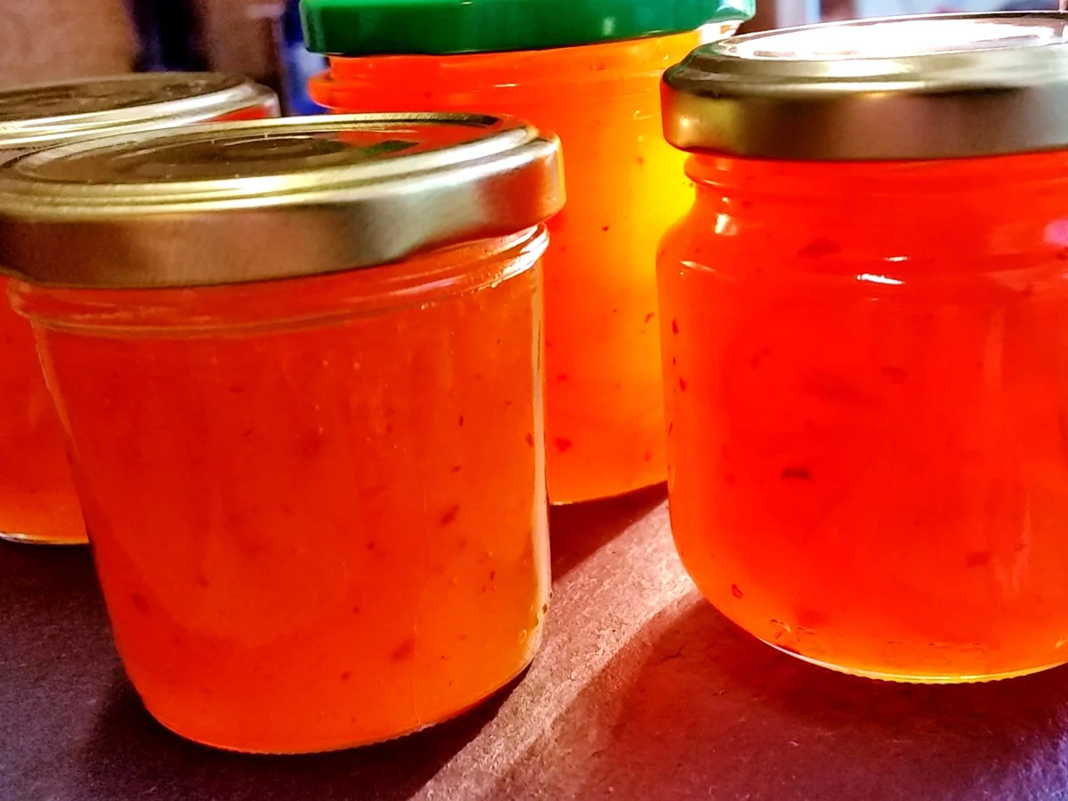 Aprikosen-Konfitüre mit Zwergorangen - Rezept - Bild Nr. 138