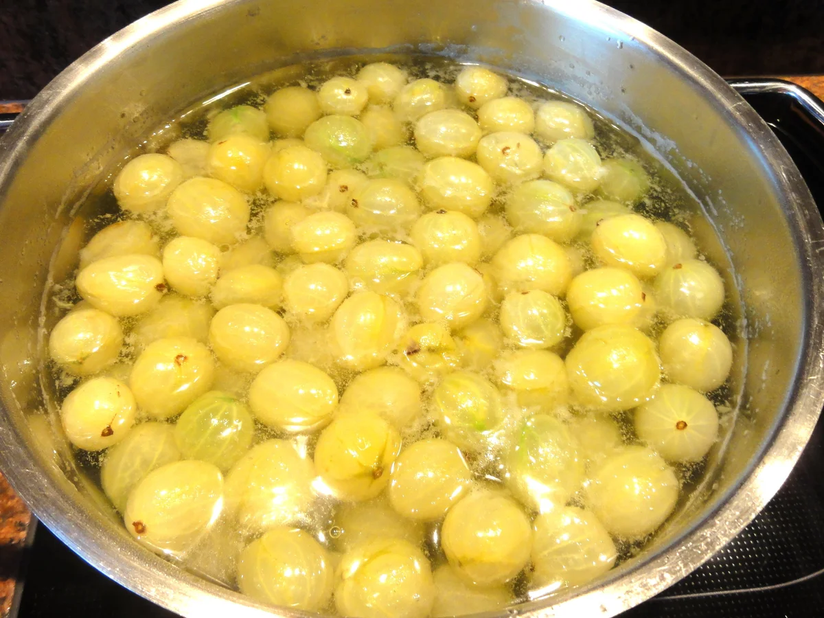 Mürbeteig:   STACHELBEER-PUDDING-TORTE - Rezept - Bild Nr. 137