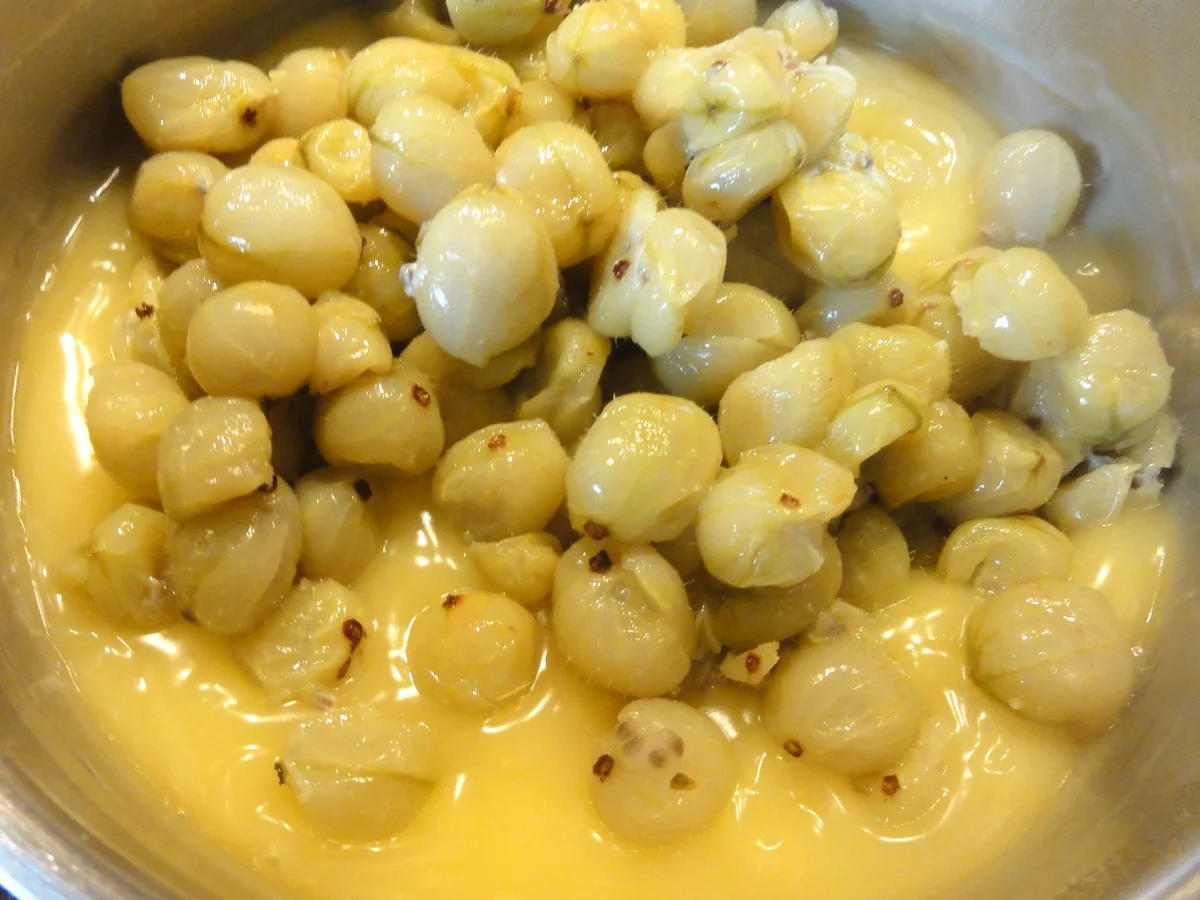 Mürbeteig:   STACHELBEER-PUDDING-TORTE - Rezept - Bild Nr. 142