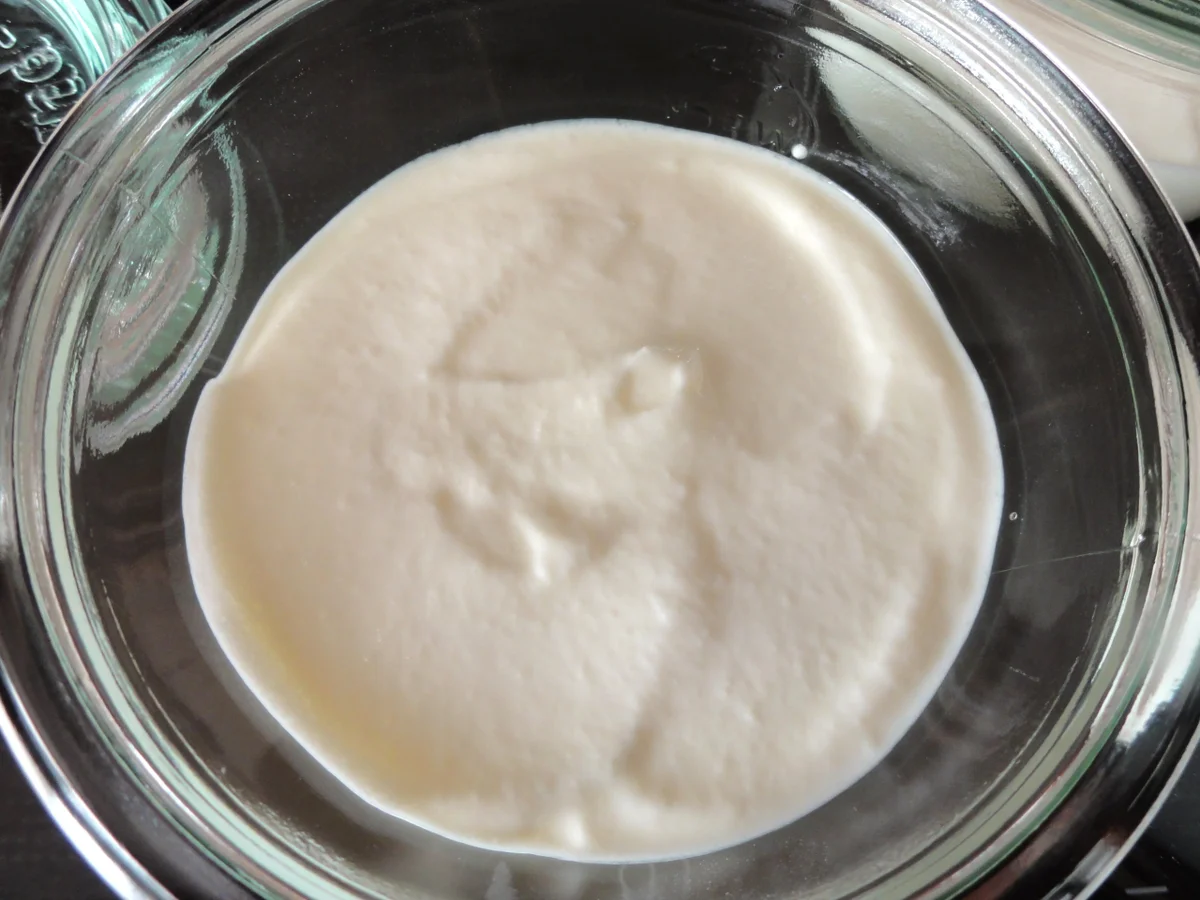 Dessert:   JOGHURT-SCHMAND  mit Mangospiegel - Rezept - Bild Nr. 179