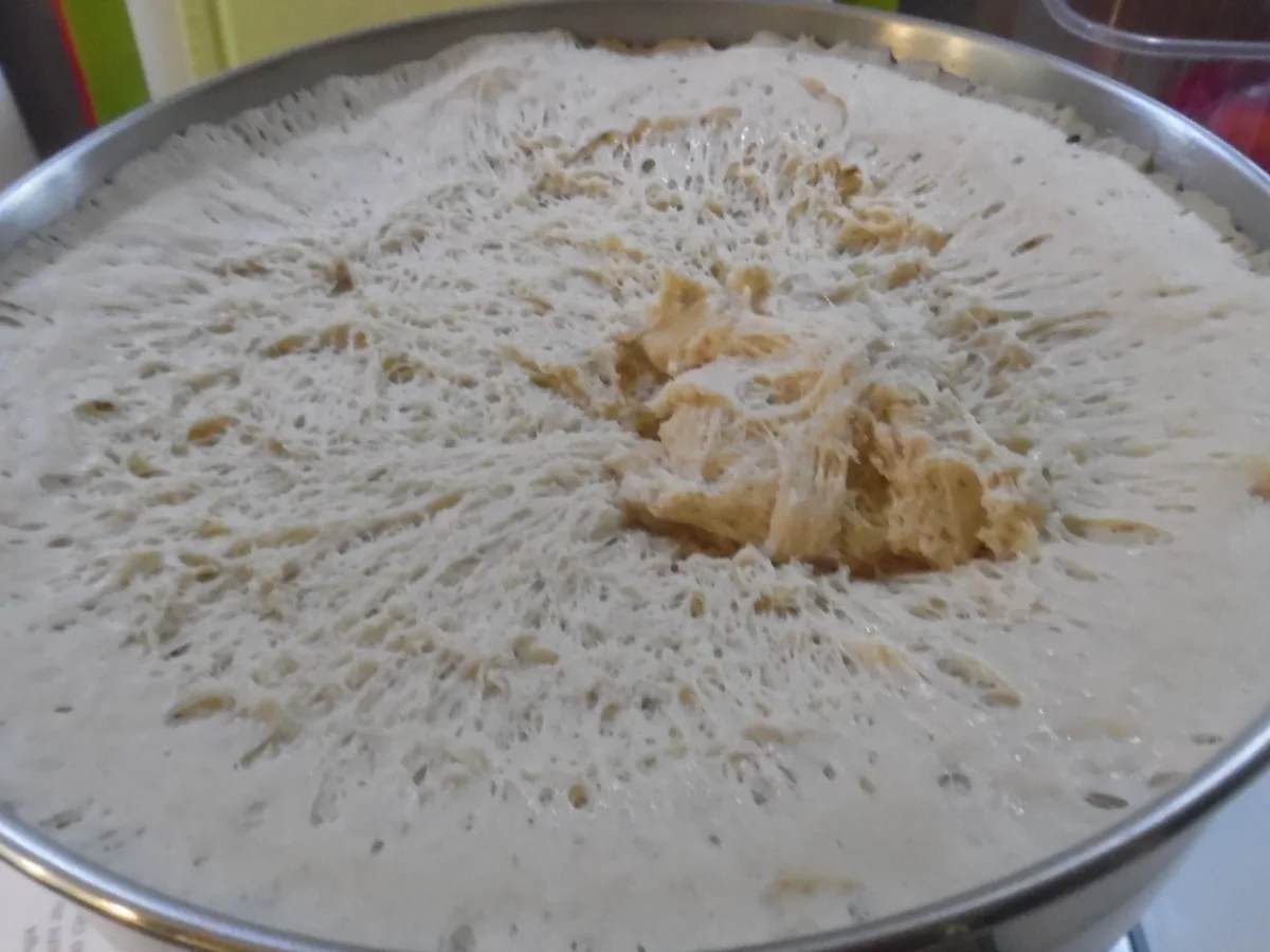 Berliner Schrippen - Rezept - Bild Nr. 163