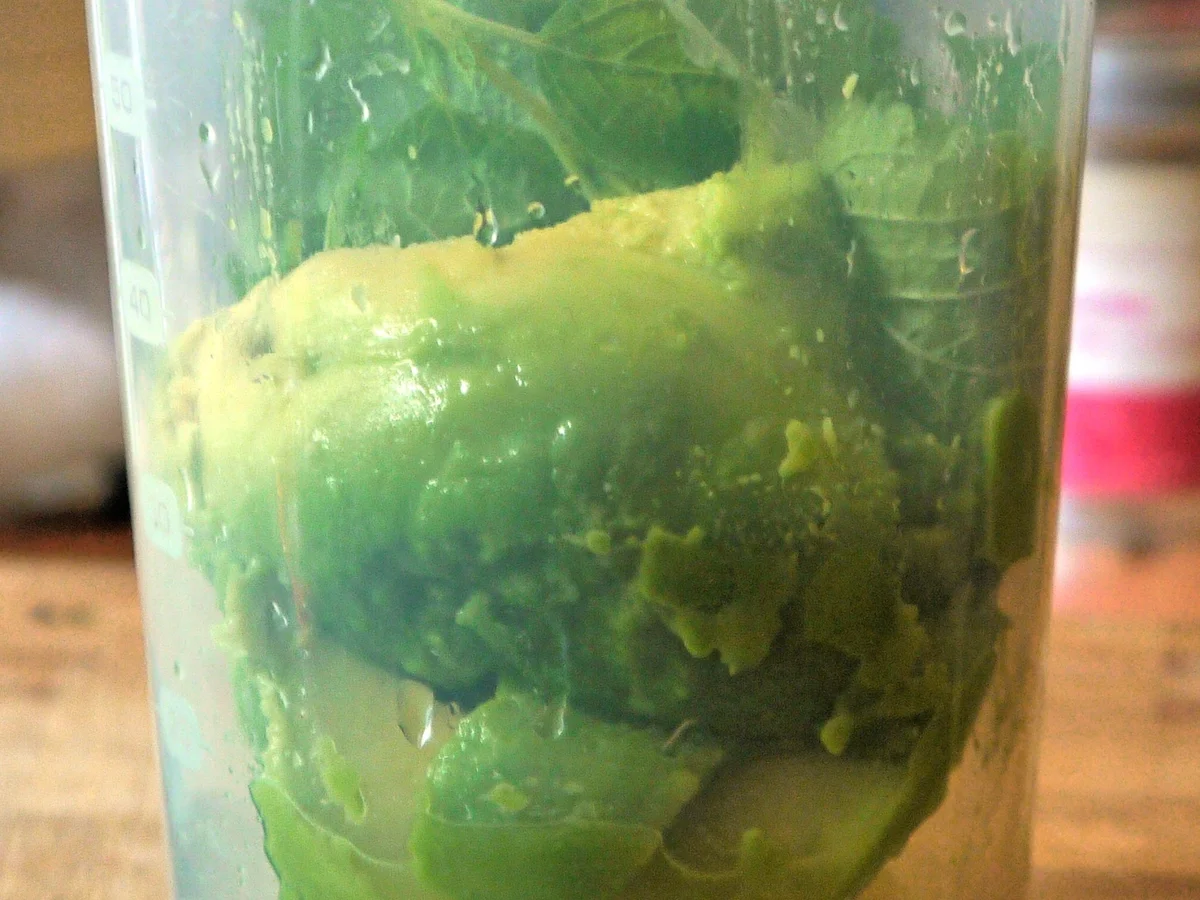 Rezept: Avocado-Ricotto-Creme mit Zitronenmelisse und marinierte Erdbeeren Bild Nr. 179 Avocado-Ricotto-Creme mit Zitronenmelisse und marinierte Erdbeeren - Rezept - Bild Nr. 179