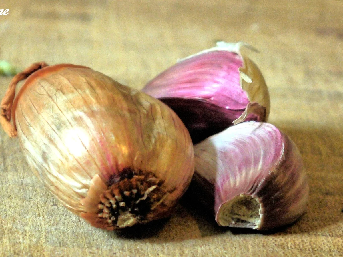 Fenchel-Risotto mit Garnelen - Rezept - Bild Nr. 176