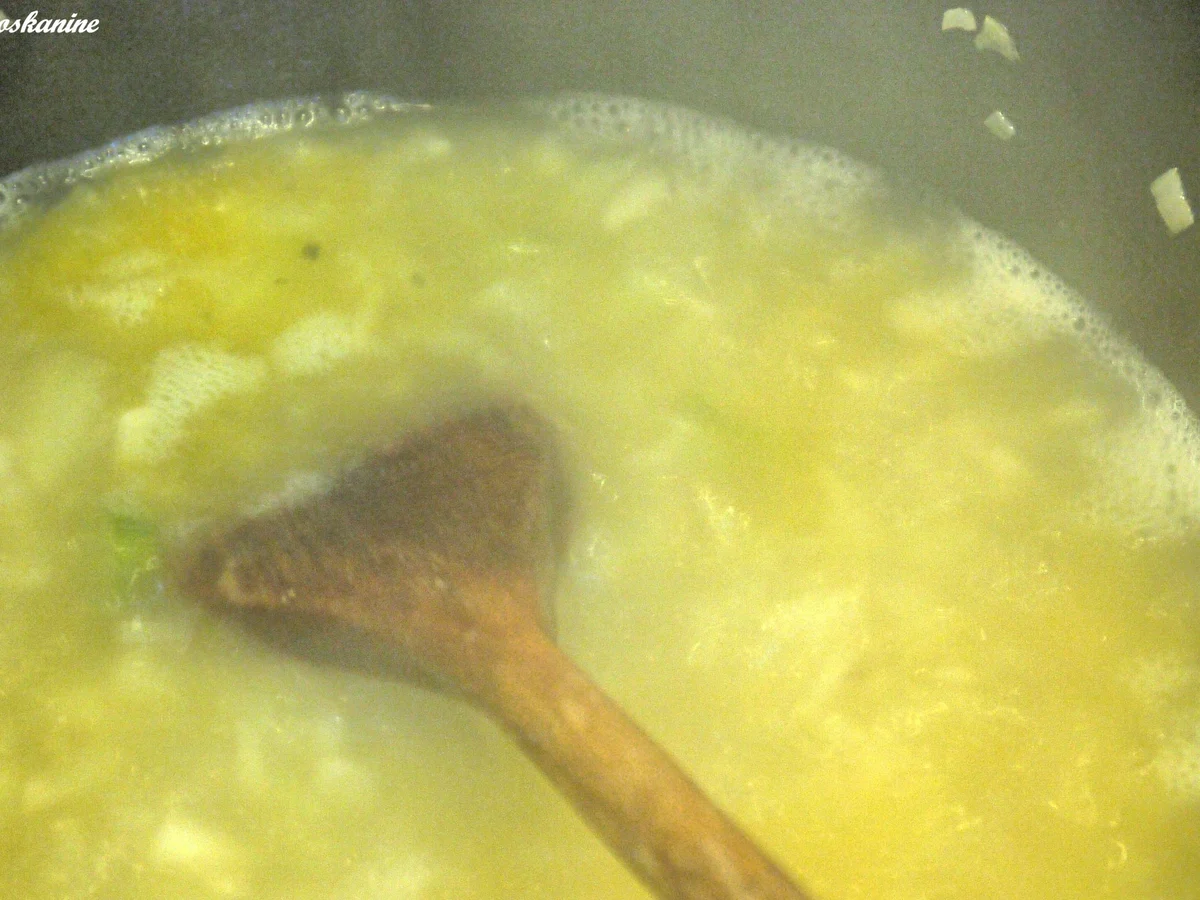 Fenchel-Risotto mit Garnelen - Rezept - Bild Nr. 182