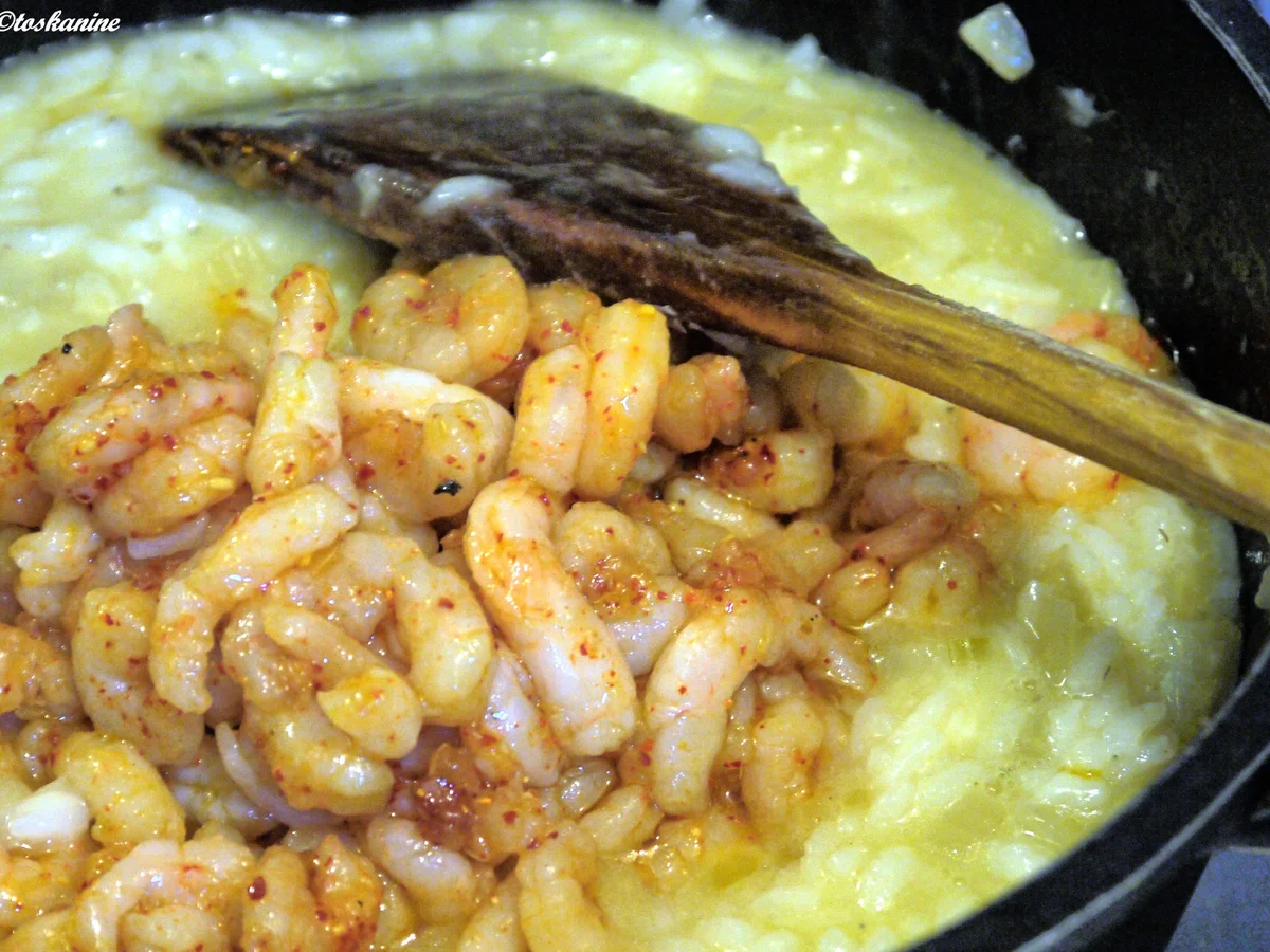 Fenchel-Risotto mit Garnelen - Rezept - Bild Nr. 184