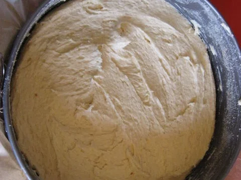 Pflaumen - Käsekuchen - Rezept - Bild Nr. 180