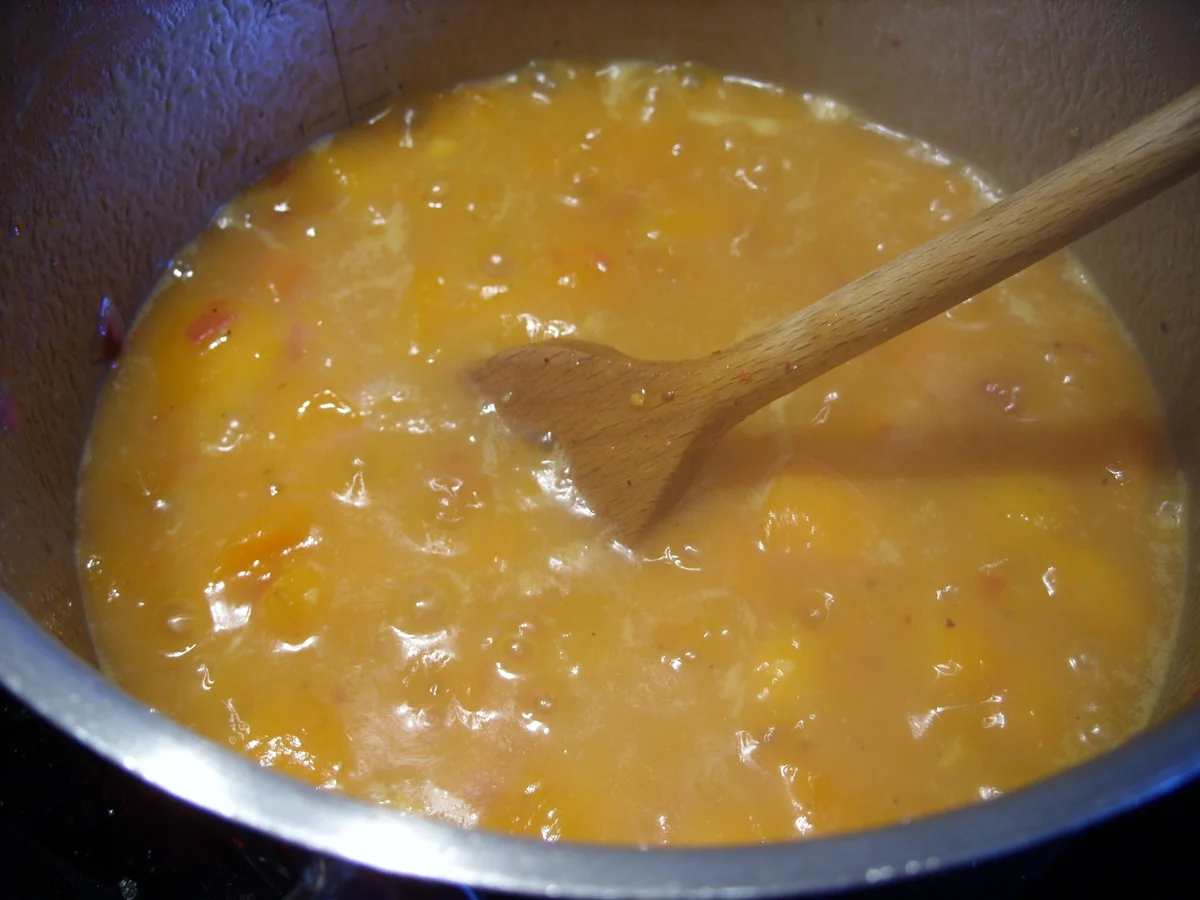 Vorrat: Aprikosen-Ketchup - Rezept - Bild Nr. 180