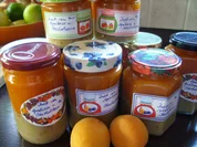 Konfitüre & Co: Duett von Aprikose und Stachelbeere - Rezept - Bild Nr. 184