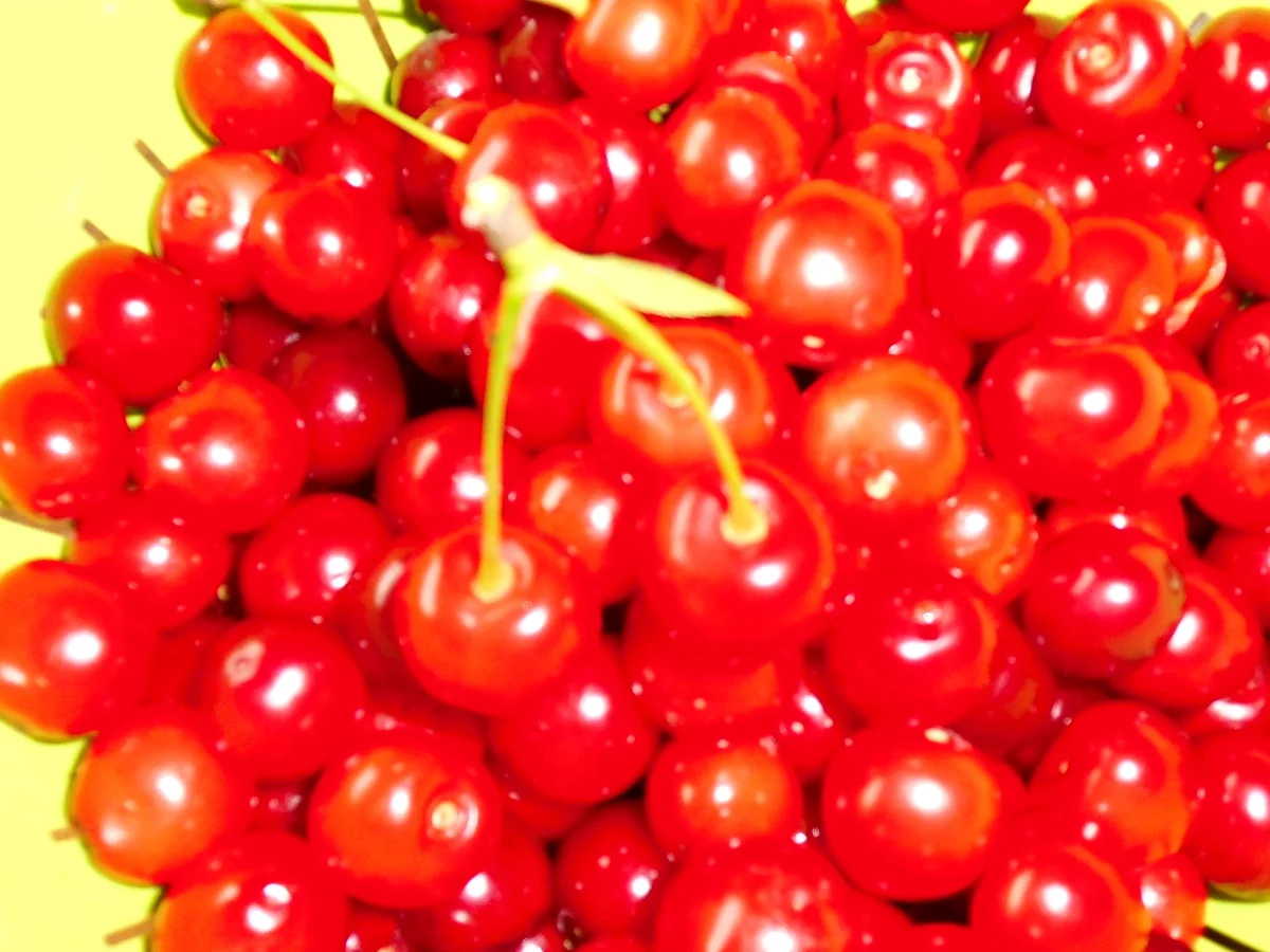 sauerkirsch-puddingkuchen vom blech - Rezept - Bild Nr. 181