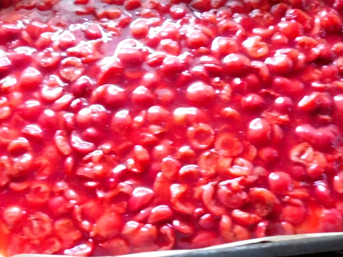 sauerkirsch-puddingkuchen vom blech - Rezept - Bild Nr. 193