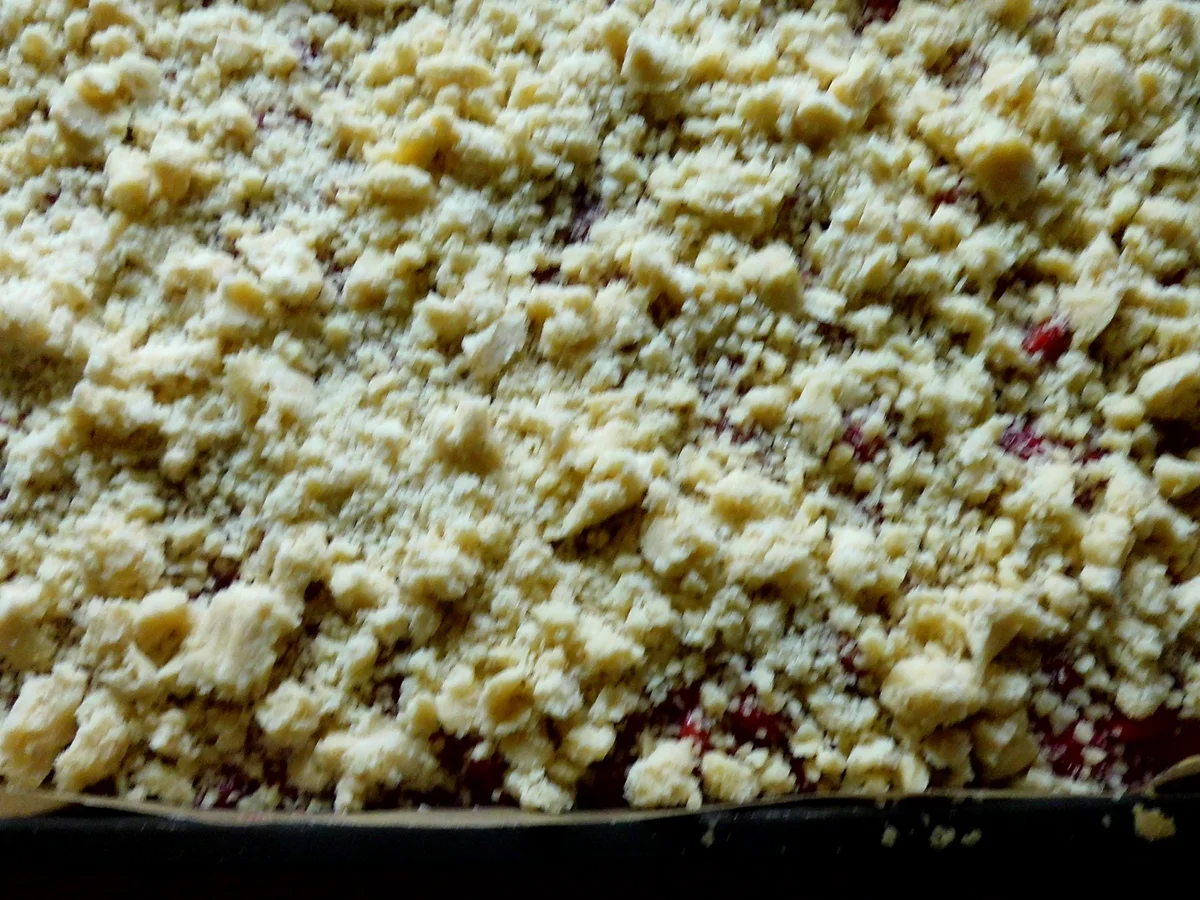 sauerkirsch-puddingkuchen vom blech - Rezept - Bild Nr. 200