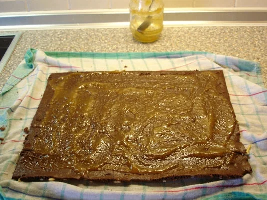 Giraffenrolle - Rezept - Bild Nr. 219