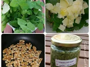 Zitronenmelissenpesto - Rezept - Bild Nr. 217