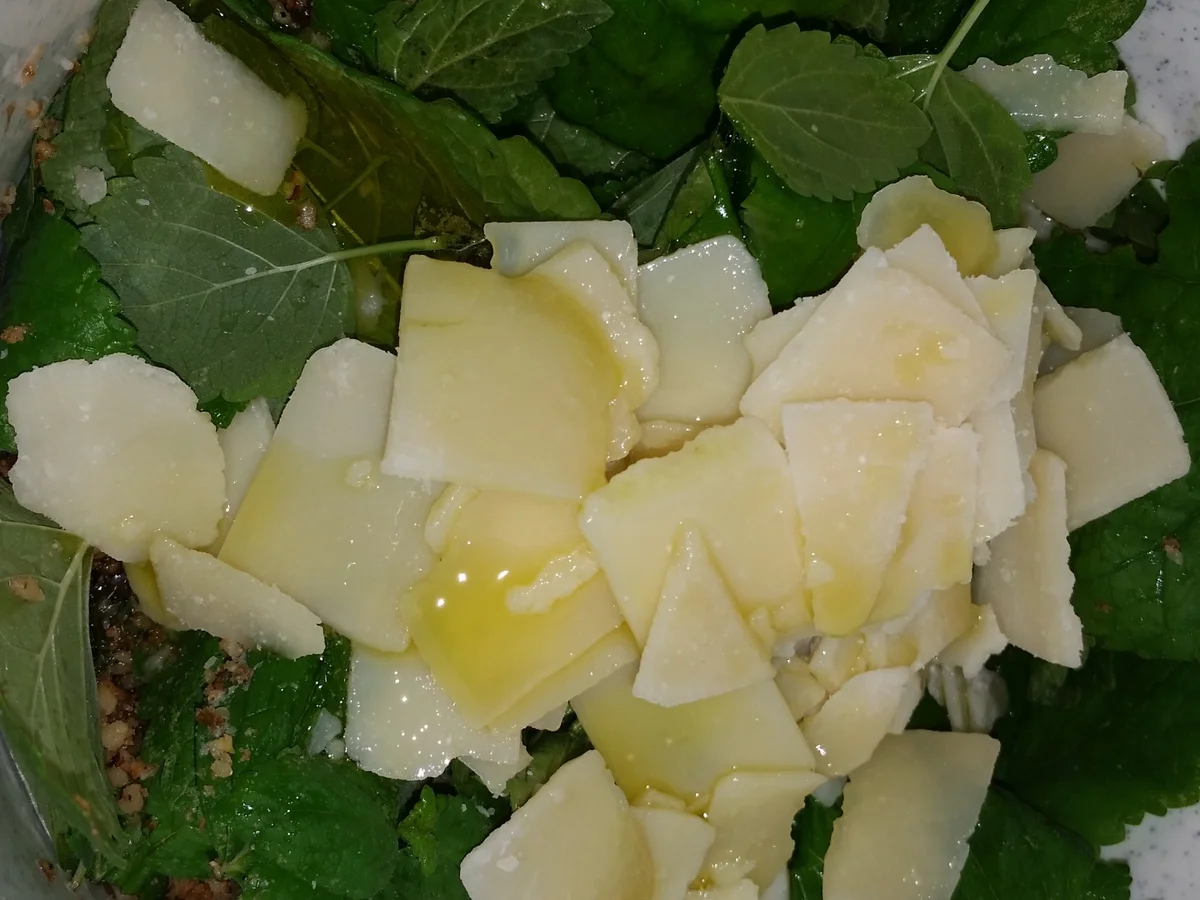 Rezept: Zitronenmelissenpesto Bild Nr. 221 Zitronenmelissenpesto - Rezept - Bild Nr. 221