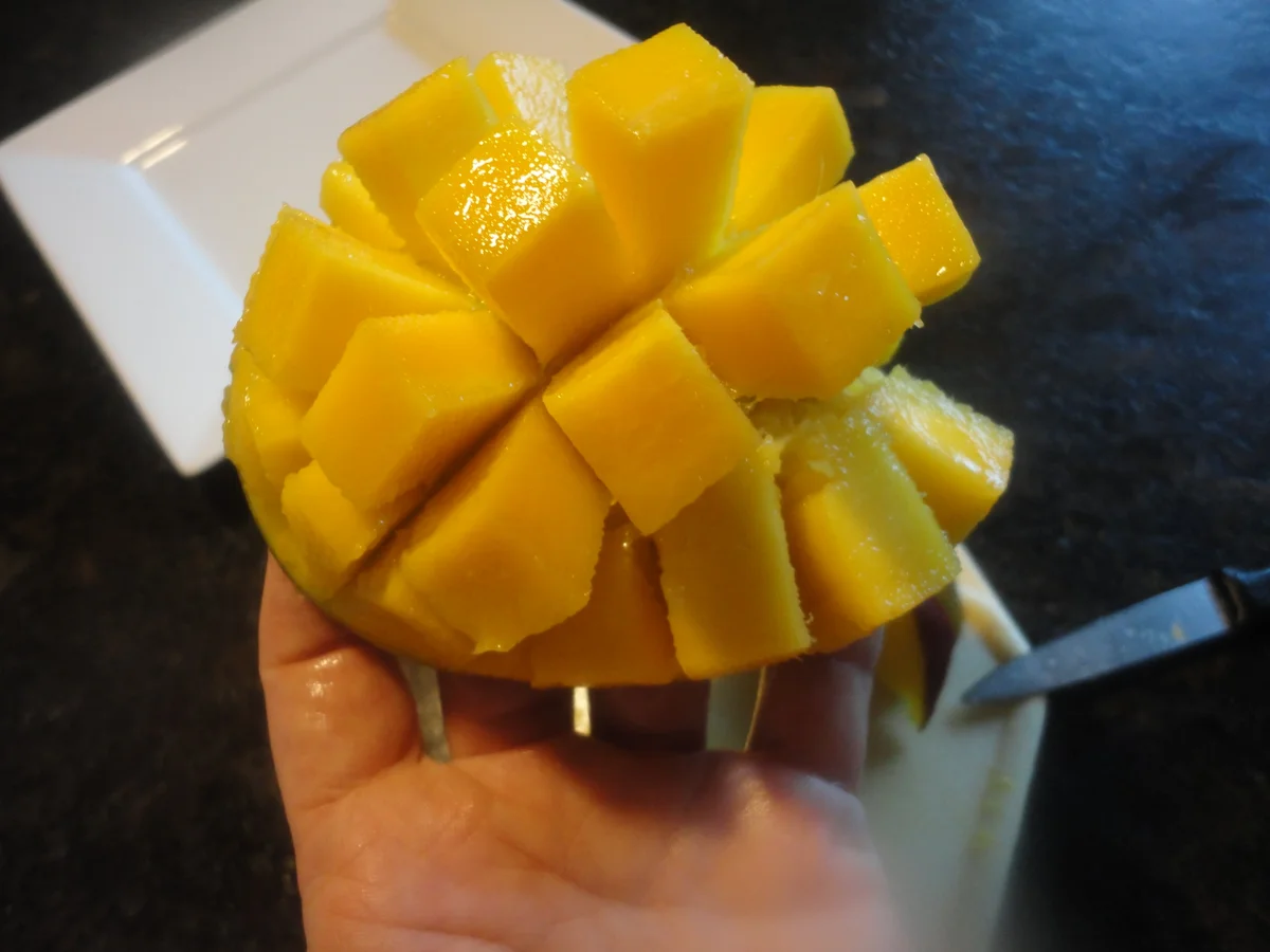 Mango Creme mit Chiasamen - Rezept - Bild Nr. 291