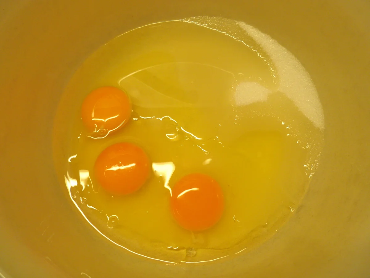 Rezept: Puddingkuchen mit Zitrone Bild Nr. 284 Puddingkuchen mit Zitrone - Rezept - Bild Nr. 284