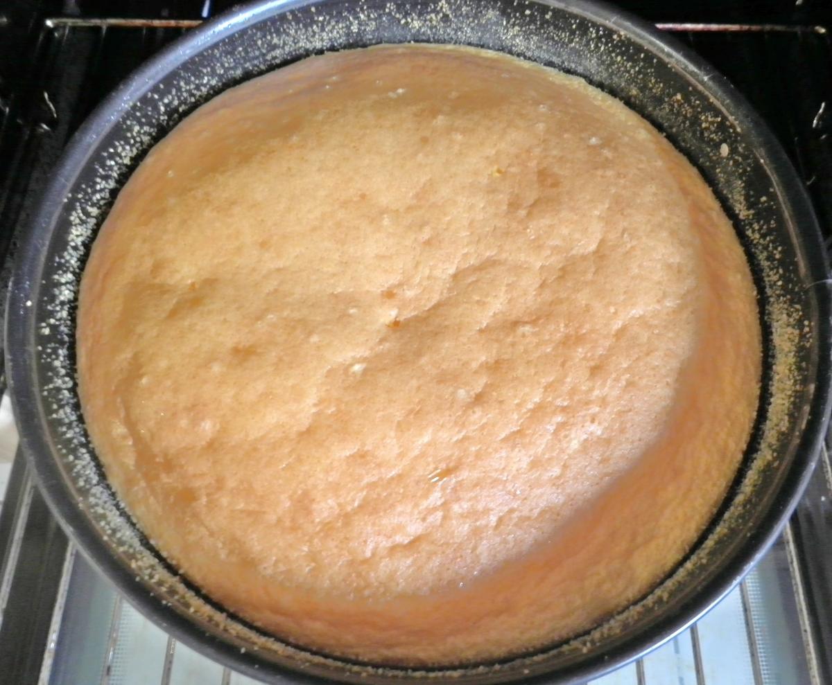 Puddingkuchen mit Zitrone - Rezept - Bild Nr. 288