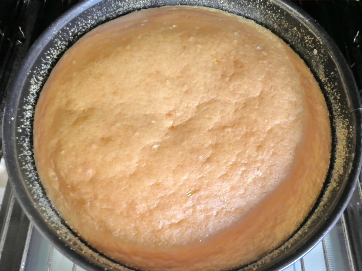 Rezept: Puddingkuchen mit Zitrone Bild Nr. 288 Puddingkuchen mit Zitrone - Rezept - Bild Nr. 288