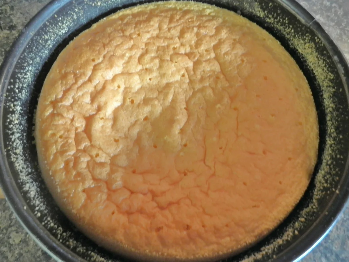 Rezept: Puddingkuchen mit Zitrone Bild Nr. 289 Puddingkuchen mit Zitrone - Rezept - Bild Nr. 289