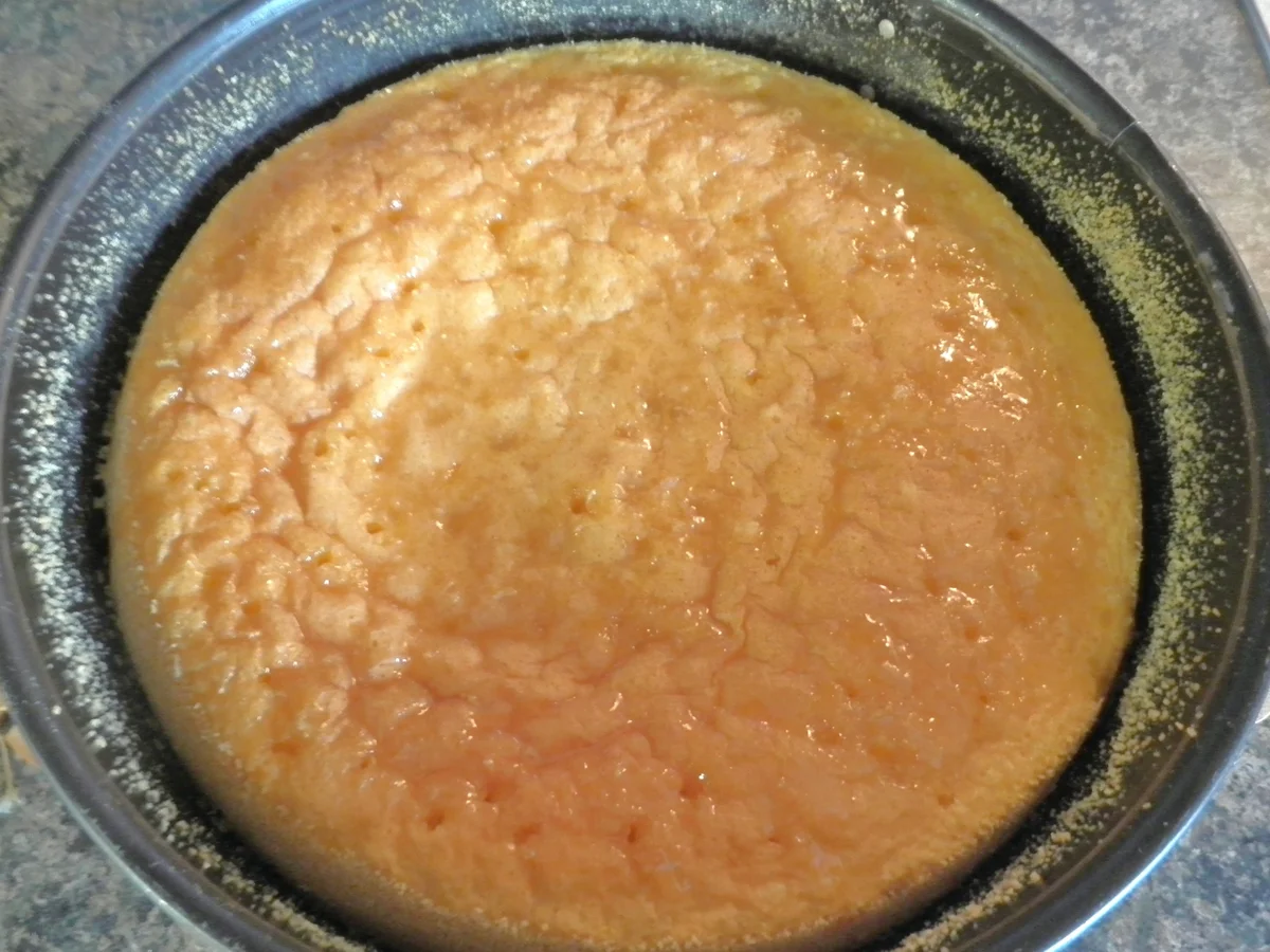 Rezept: Puddingkuchen mit Zitrone Bild Nr. 290 Puddingkuchen mit Zitrone - Rezept - Bild Nr. 290