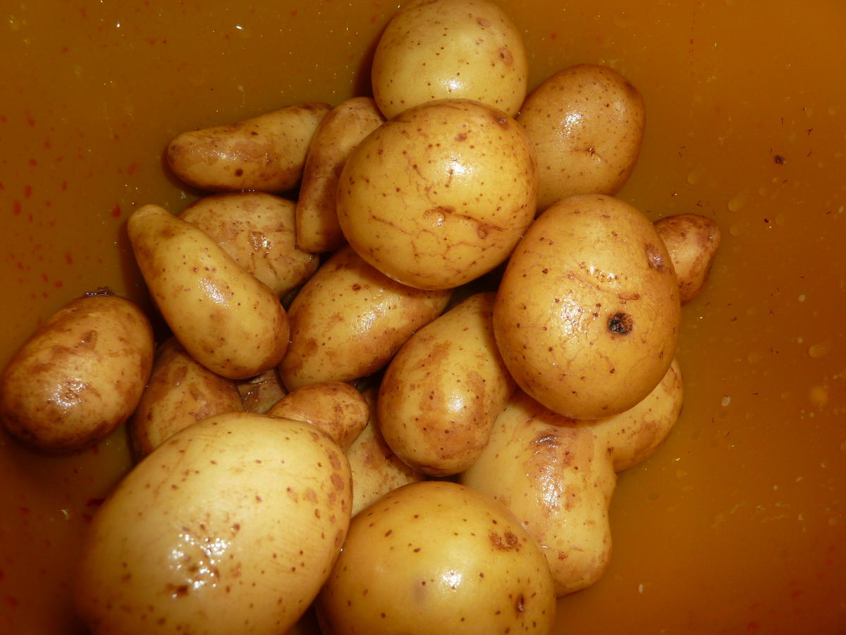 Beilagen: Kartoffeln in Salzkruste - Rezept - Bild Nr. 292