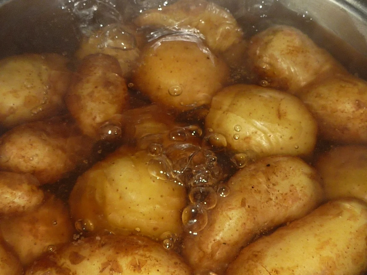 Beilagen: Kartoffeln in Salzkruste - Rezept - Bild Nr. 295