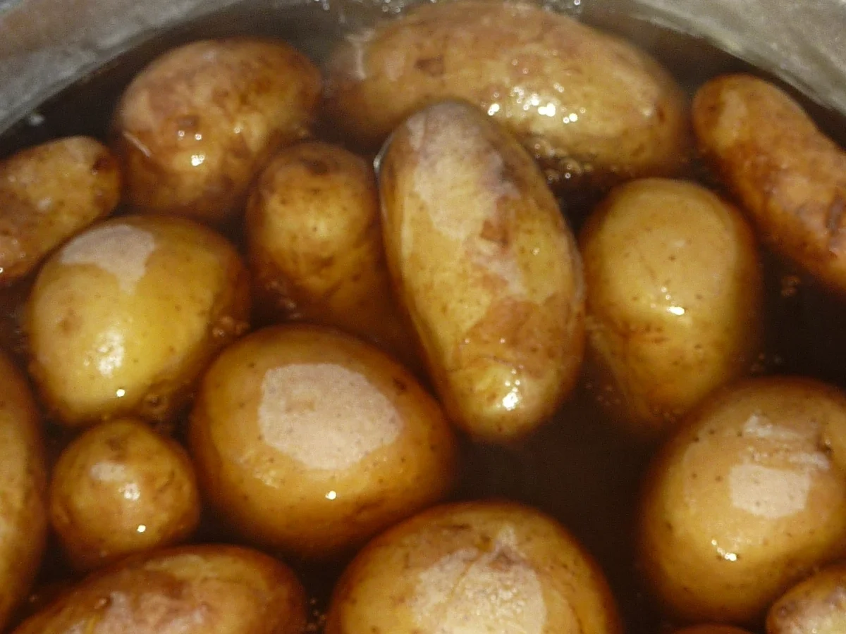 Beilagen: Kartoffeln in Salzkruste - Rezept - Bild Nr. 296