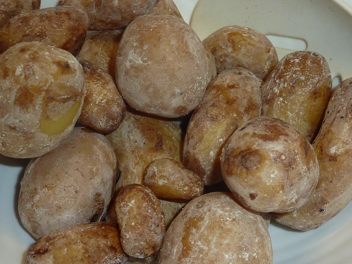 Beilagen: Kartoffeln in Salzkruste - Rezept - Bild Nr. 298