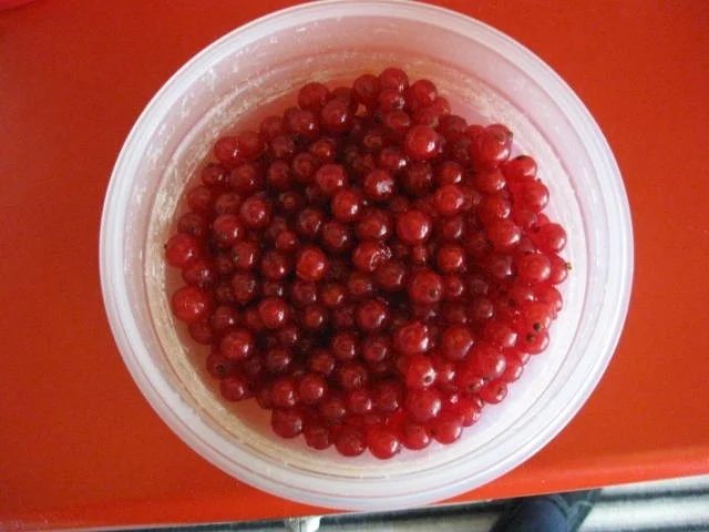 Eierlikör - Gugelhupf mit roten Johannisbeeren - Rezept - Bild Nr. 310