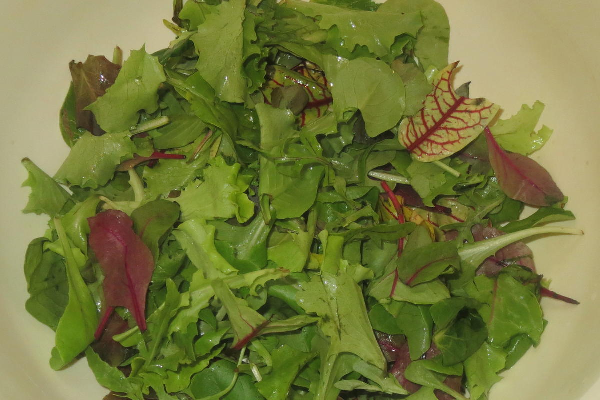 Salat: Bunter Salat mit Joghurt-Dressing - Rezept - Bild Nr. 318