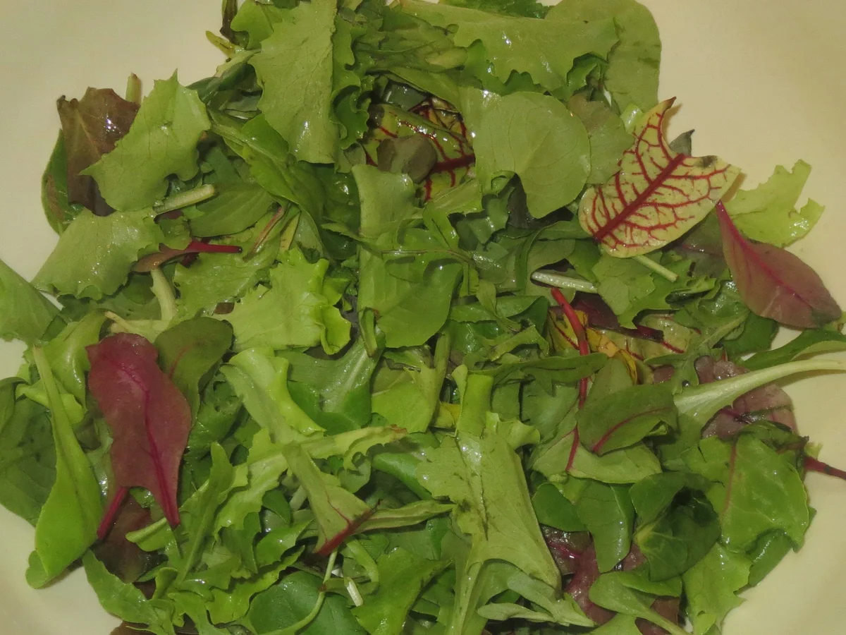 Salat: Bunter Salat mit Joghurt-Dressing - Rezept - Bild Nr. 318