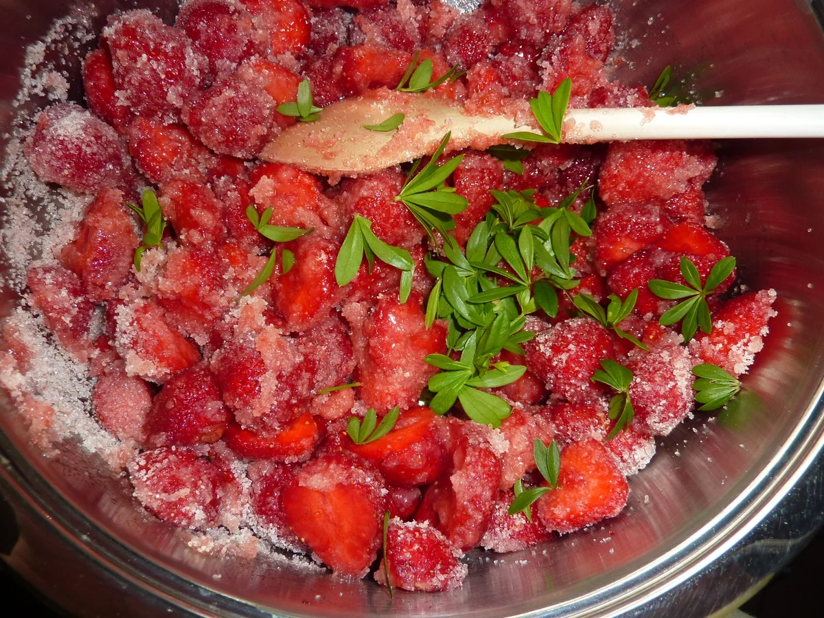 Rezept: Marmelade: Erdbeer-Waldmeister Bild Nr. 335 Marmelade: Erdbeer-Waldmeister - Rezept - Bild Nr. 335