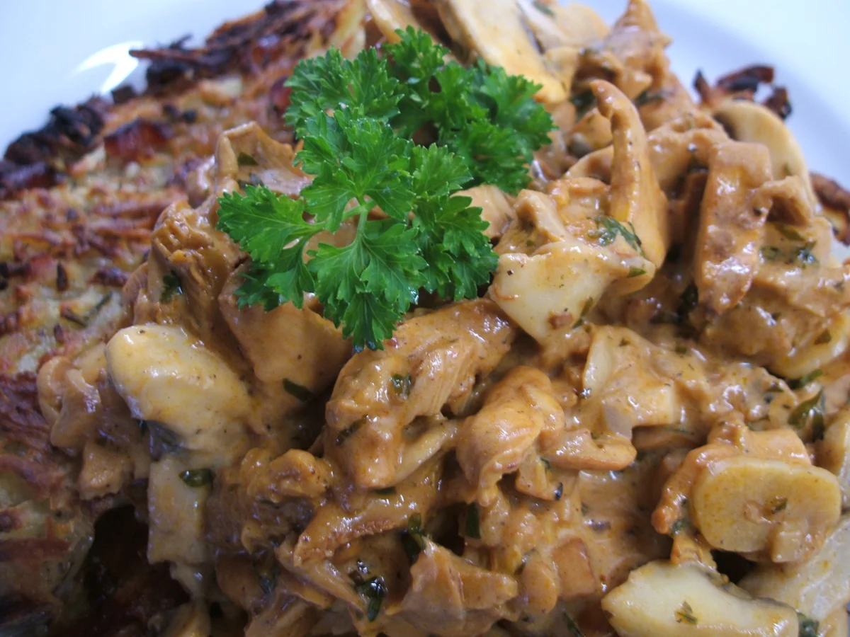 Pilze: Funghi alla toscana - Rezept - Bild Nr. 355
