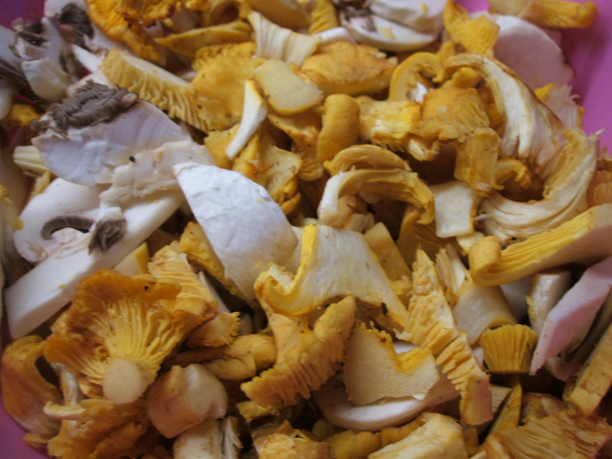 Pilze: Funghi alla toscana - Rezept - Bild Nr. 356