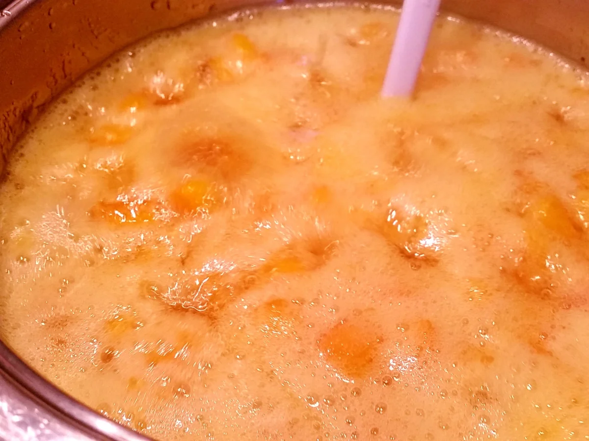 Aprikosen-Limetten-Konfitüre - Rezept - Bild Nr. 364