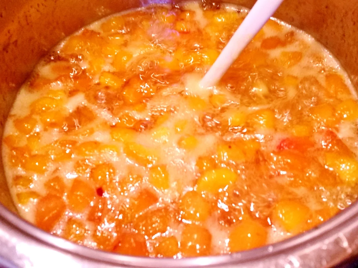 Aprikosen-Limetten-Konfitüre - Rezept - Bild Nr. 365