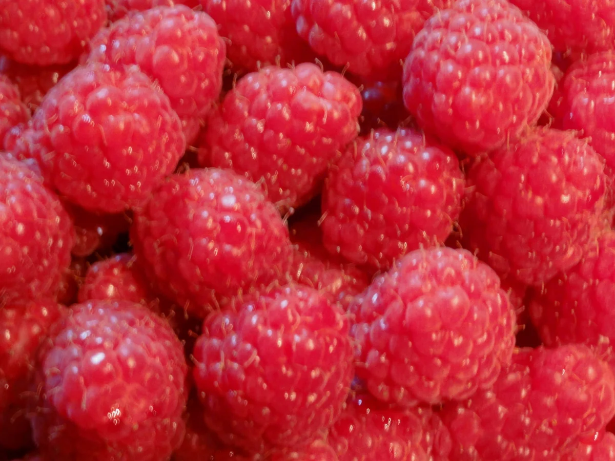 M+G:   HIMBEERSAUCE - Rezept - Bild Nr. 362